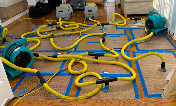 Professional Water Extraction technician working in Olivia, MN